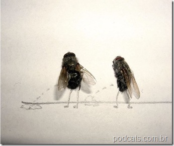 dead_flies_art_02