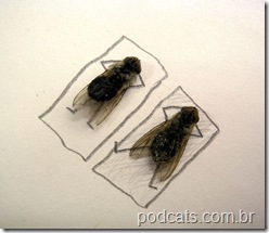 dead_flies_art_03
