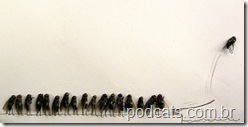 dead_flies_art_06