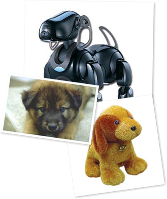 Exibir aibo-dog