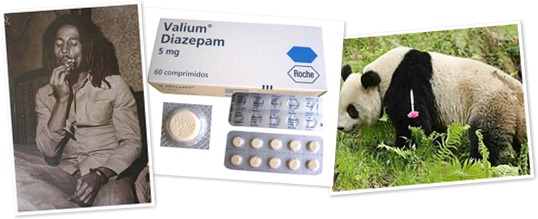 Exibir valium-bob-tranquilizante