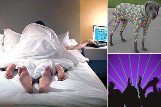 Exibir workaholic-rave-psy